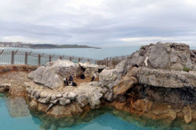 Cantabria es una región situada en un enclave privilegiado.