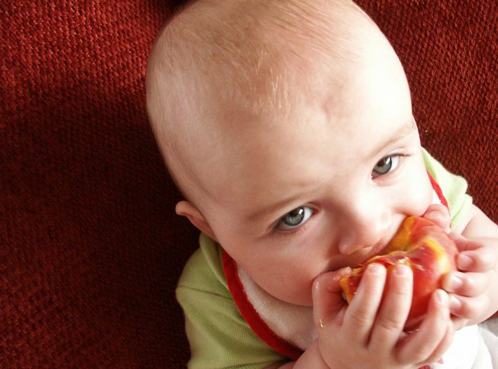 Cuándo introducir alimentos sin triturar en la dieta de nuestros hijos
